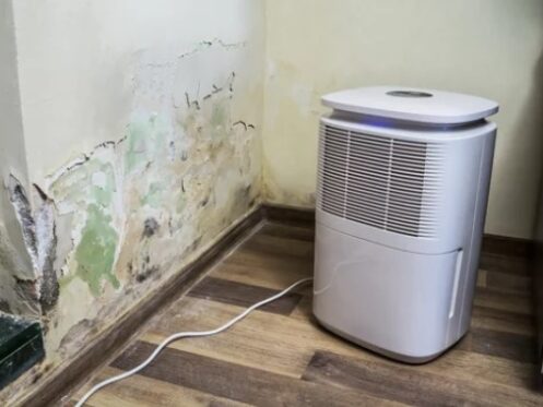 Dehumidifier 2
